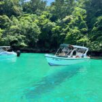 Julie Bertin Instagram - Olà Brasil 🇧🇷 🚤 : @paratytours.agencia