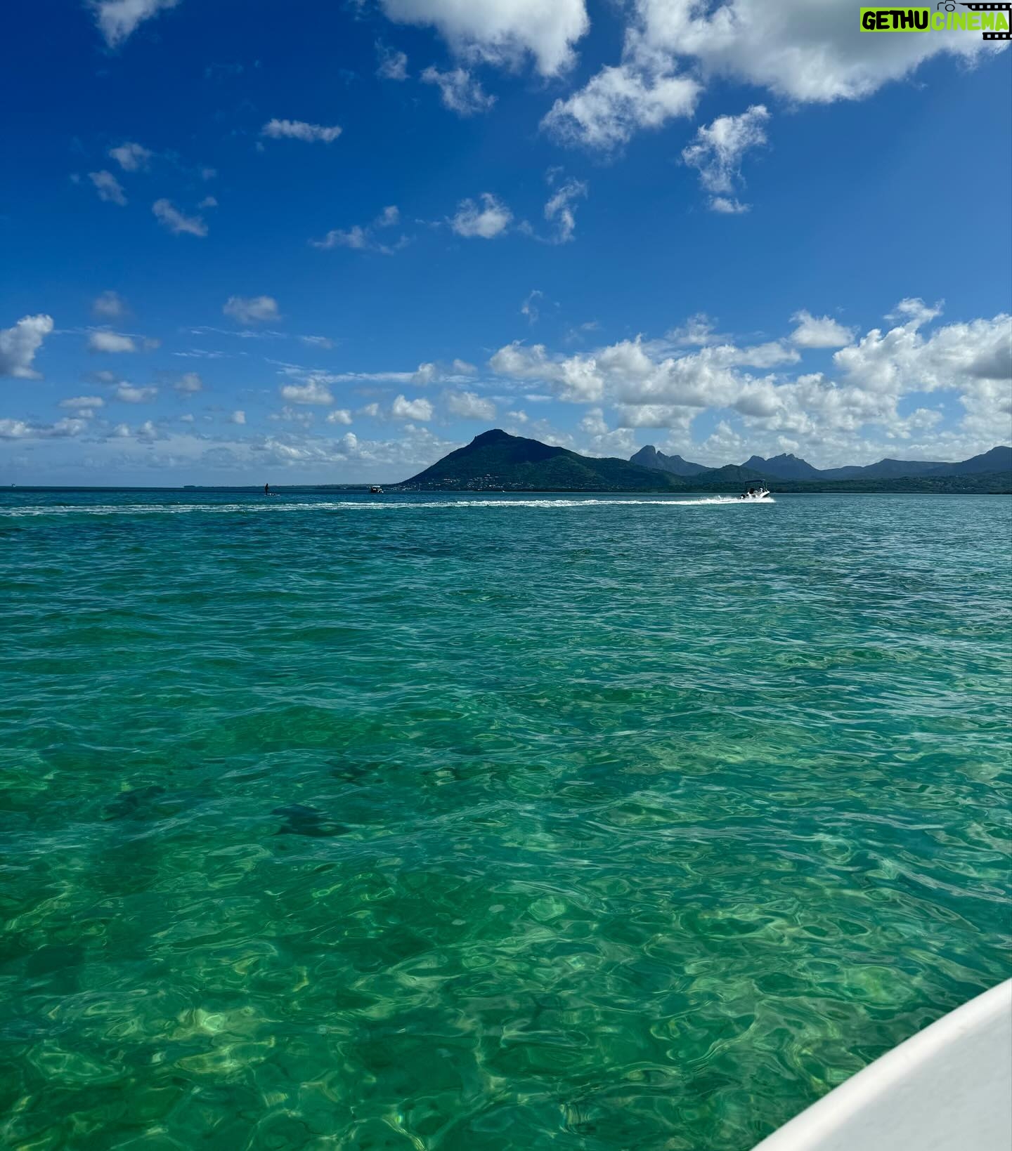 Julie Bertin - 6.7K Likes - 📍 @vitamin_sea_mauritius
« J’ai réalisé mon plus grand rêve de petite fille … nager avec les dauphins dans leur milieu naturel. Je ne saurais comment vous expliquer cette sensation, j’avais l’impression de faire partie de leur gang 😅. Ce moment magique restera pour toujours gravé dans ma mémoire .. Merci à Brice & Morgan pour cette journée, pour le partage de vos connaissances .. 🤍).
*invitation.