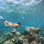 Julie Bertin Instagram – 📍 @vitamin_sea_mauritius 

« J’ai réalisé mon plus grand rêve de petite fille … nager avec les dauphins dans leur milieu naturel. Je ne saurais comment vous expliquer cette sensation, j’avais l’impression de faire partie de leur gang 😅. Ce moment magique restera pour toujours gravé dans ma mémoire .. Merci à Brice & Morgan pour cette journée, pour le partage de vos connaissances .. 🤍).

*invitation.