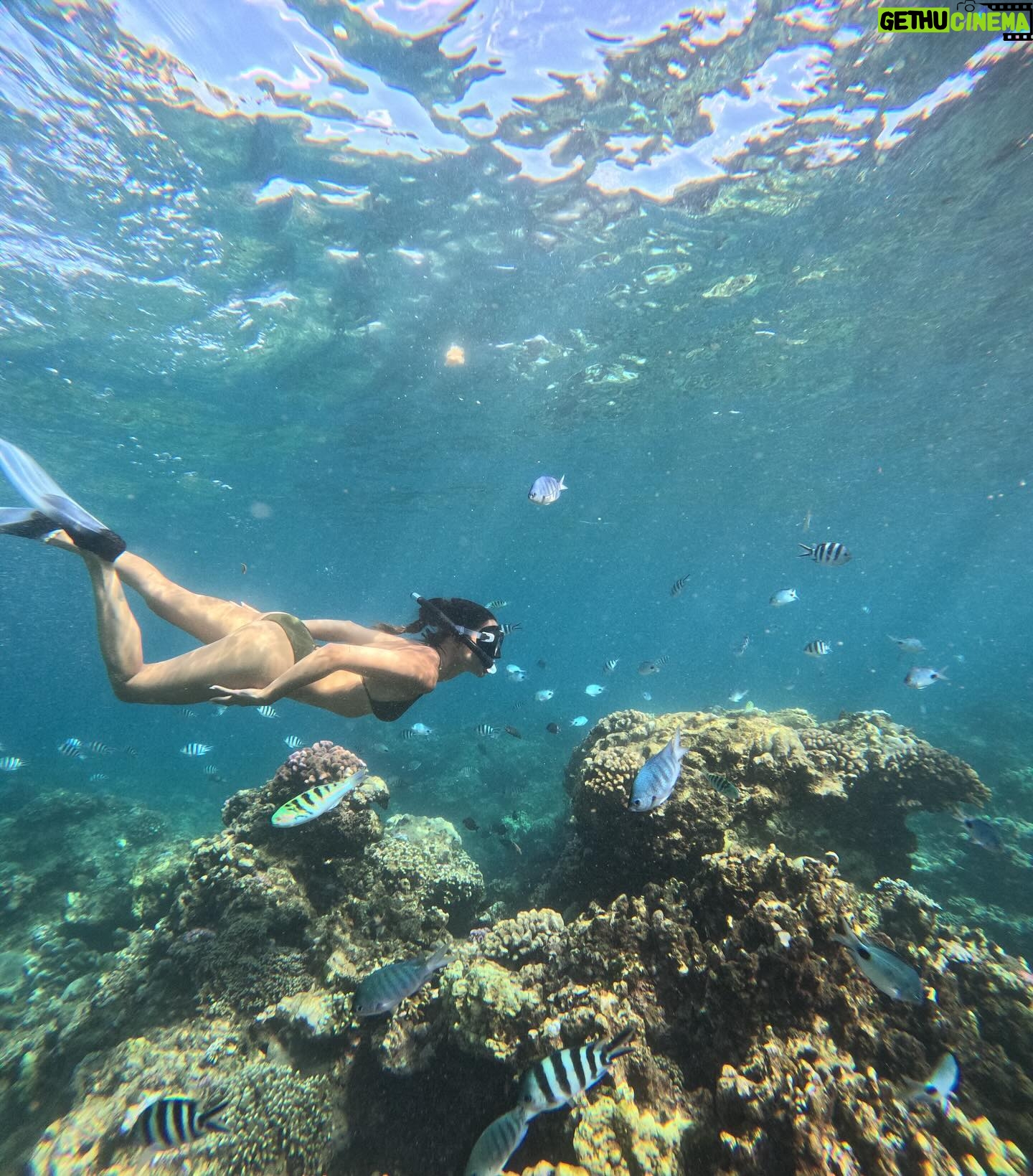 Julie Bertin - 6.7K Likes - 📍 @vitamin_sea_mauritius
« J’ai réalisé mon plus grand rêve de petite fille … nager avec les dauphins dans leur milieu naturel. Je ne saurais comment vous expliquer cette sensation, j’avais l’impression de faire partie de leur gang 😅. Ce moment magique restera pour toujours gravé dans ma mémoire .. Merci à Brice & Morgan pour cette journée, pour le partage de vos connaissances .. 🤍).
*invitation.