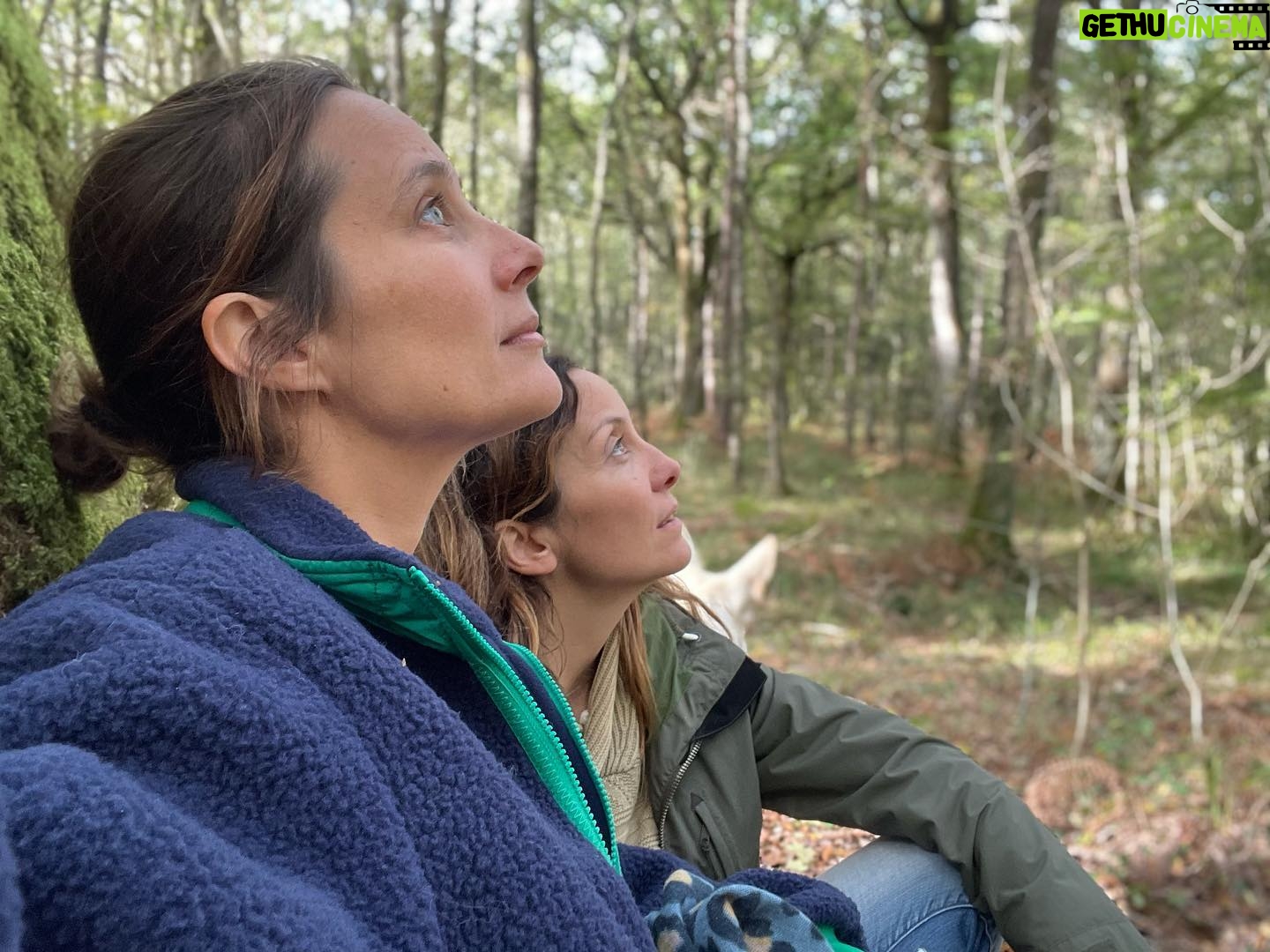 Julie de Bona Instagram - Se ressourcer grâce à la forêt 🌳 Merci 🙏 @perrinecrosmary