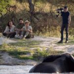 Julie de Bona Instagram - « Instinct animal » ce soir sur @france2 En Immersion totale avec les animaux sauvages 🦓🐆🐘🦏🦒🐅🐐🦧 @perrinecrosmary @diegobunuel @martange_production #instinctanimal