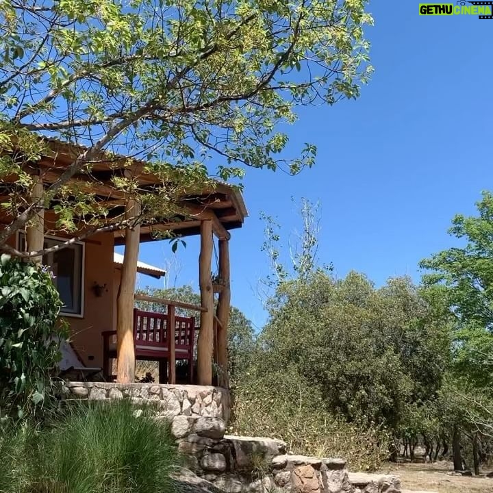 Julieta Díaz - 3.9K Likes - Gracias Córdoba 🇦🇷🌿
Gracias @ecoposadalasdalias
Gracias @astrologia_y_consciencia
🙏🏽✨