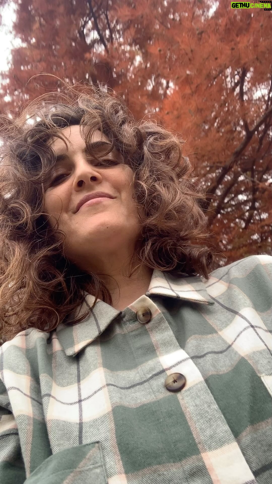 Julieta Díaz - 5.7K Likes - Otoño Invierno 🍁❄️♥️
@verapasionadas
@lucas.estudioh
@coestetico
@drenoblack
#SinFiltro
#SinMaquillaje
💋