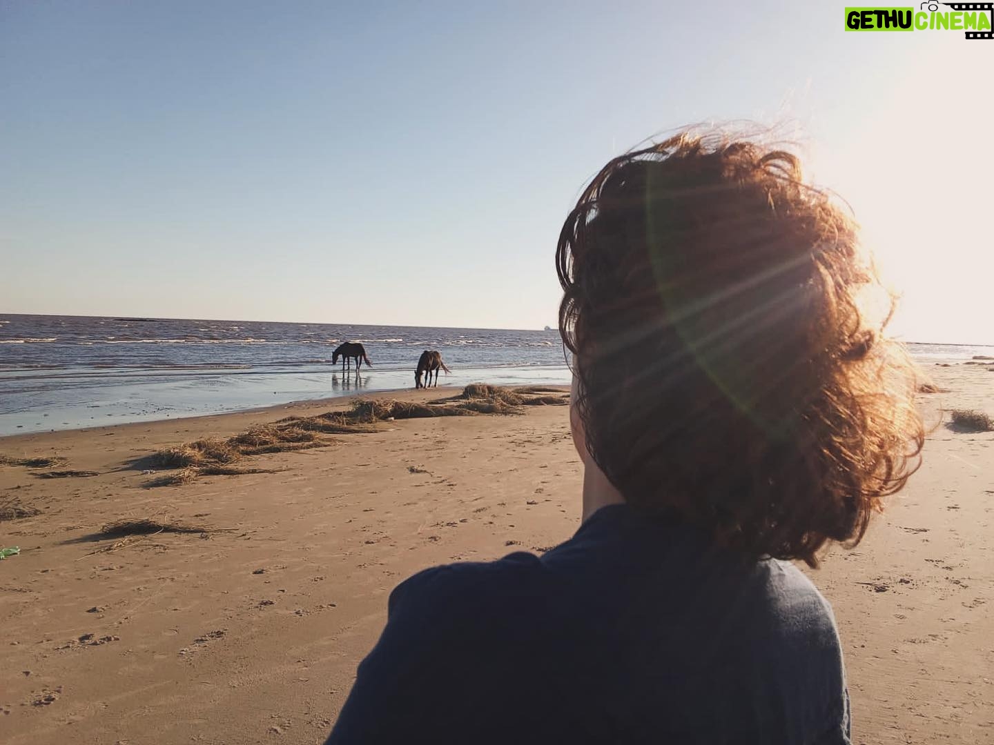 Julieta Díaz - 2.5K Likes - Si no le pongo el cuerpo
No lo entiendo adentro
Si no lo vivo
No lo puedo amar 🌱