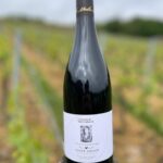 Juliette Tresanini Instagram – Rendez-vous demain pour découvrir et acheter la cuvée Juliette Tresanini X Domaine Moulin Berger au marché des vins et des créateurs de St Amour.

Rencontres et dédicaces avec @juliettetresanini dès 15h00 

On vous attend nombreux, n’hésitez pas a partager l’événement !

*création de la magnifique étiquette Geoffrey @rey9eoff