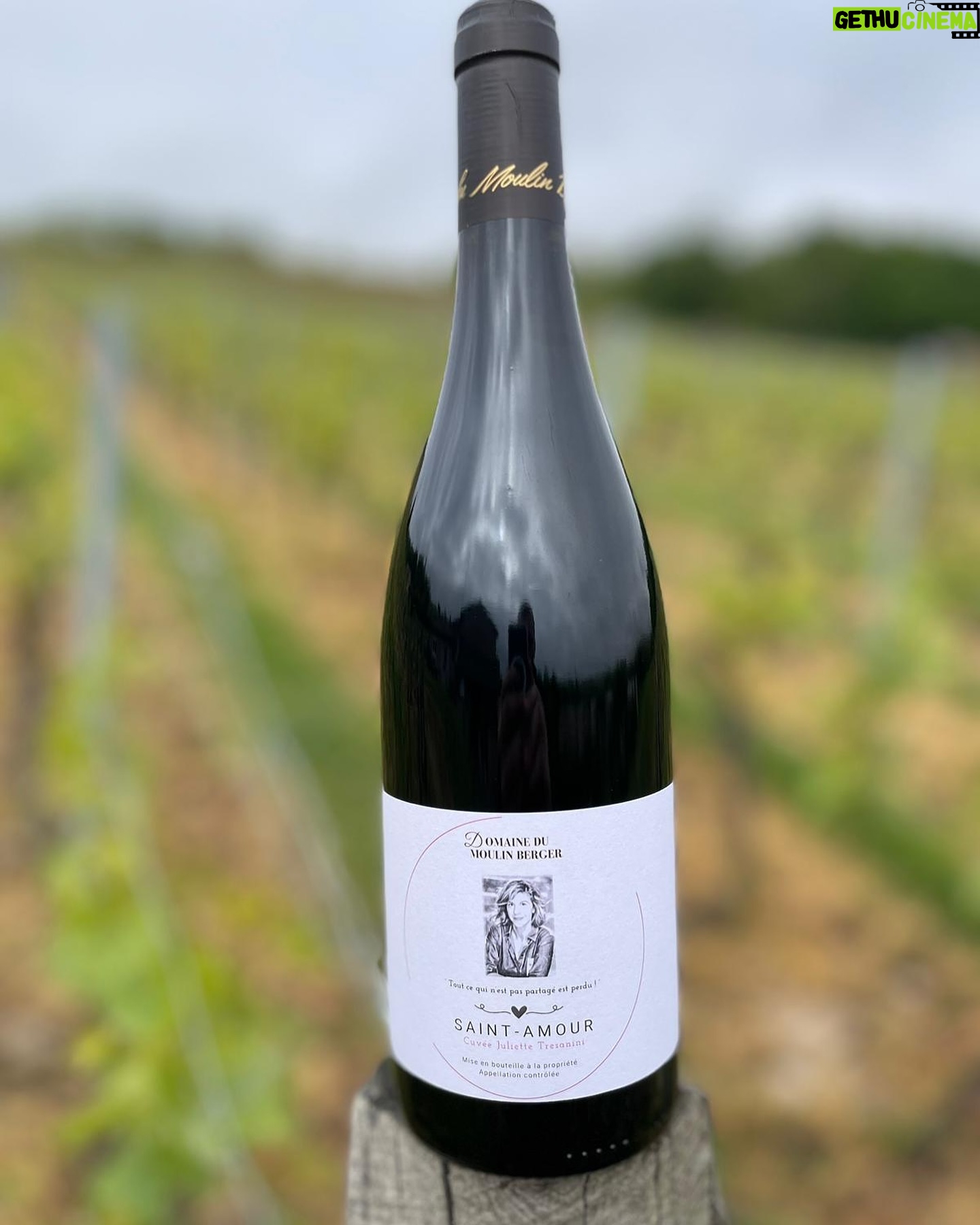 Juliette Tresanini Instagram - Rendez-vous demain pour découvrir et acheter la cuvée Juliette Tresanini X Domaine Moulin Berger au marché des vins et des créateurs de St Amour. Rencontres et dédicaces avec @juliettetresanini dès 15h00 On vous attend nombreux, n’hésitez pas a partager l’événement ! *création de la magnifique étiquette Geoffrey @rey9eoff
