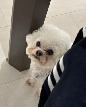 Jung Hye-sung Instagram - 