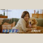 Jung In-sun Instagram – 넥스가드 스펙트라 (feat.케빈)

케빈이는 왕크고 왕귀엽고.. 많이 빠르다🥹

우리 보리도 매월 20일 넥스가드 해요🙋🏻‍♀️