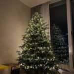 Jung In-sun Instagram - 내 생애 첫 트리🎄