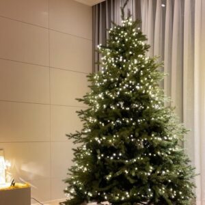 Jung In-sun Instagram - 내 생애 첫 트리🎄