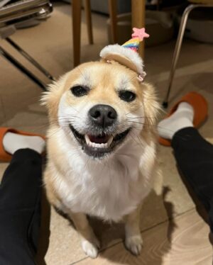 Jung In-sun Instagram - HBD for me🙋🏻‍♀️

저에겐 일년에 한번, 태어나 잘 살아가기로 결심을 다지는 하루😋

4월 25일 축하해주신 모든 분들 감사드려요. 
덕분에 따뜻한 하루를 보냈어요.

오늘도 좋은 밤-🌝