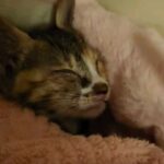 Jung Si-a Instagram - My March