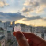 Jung Si-a Instagram - 요즘. 내 옆에 뜬 무지개🌈 청소 후 낮술🍷 아직 남겨진 봄🌸 싱그러운 여름🌿 피땀묻은 주누의 유니폼😭