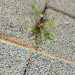 Jung Si-a Instagram – 선물같은 토요일 아침🌈  with 구름이 머무는 동안