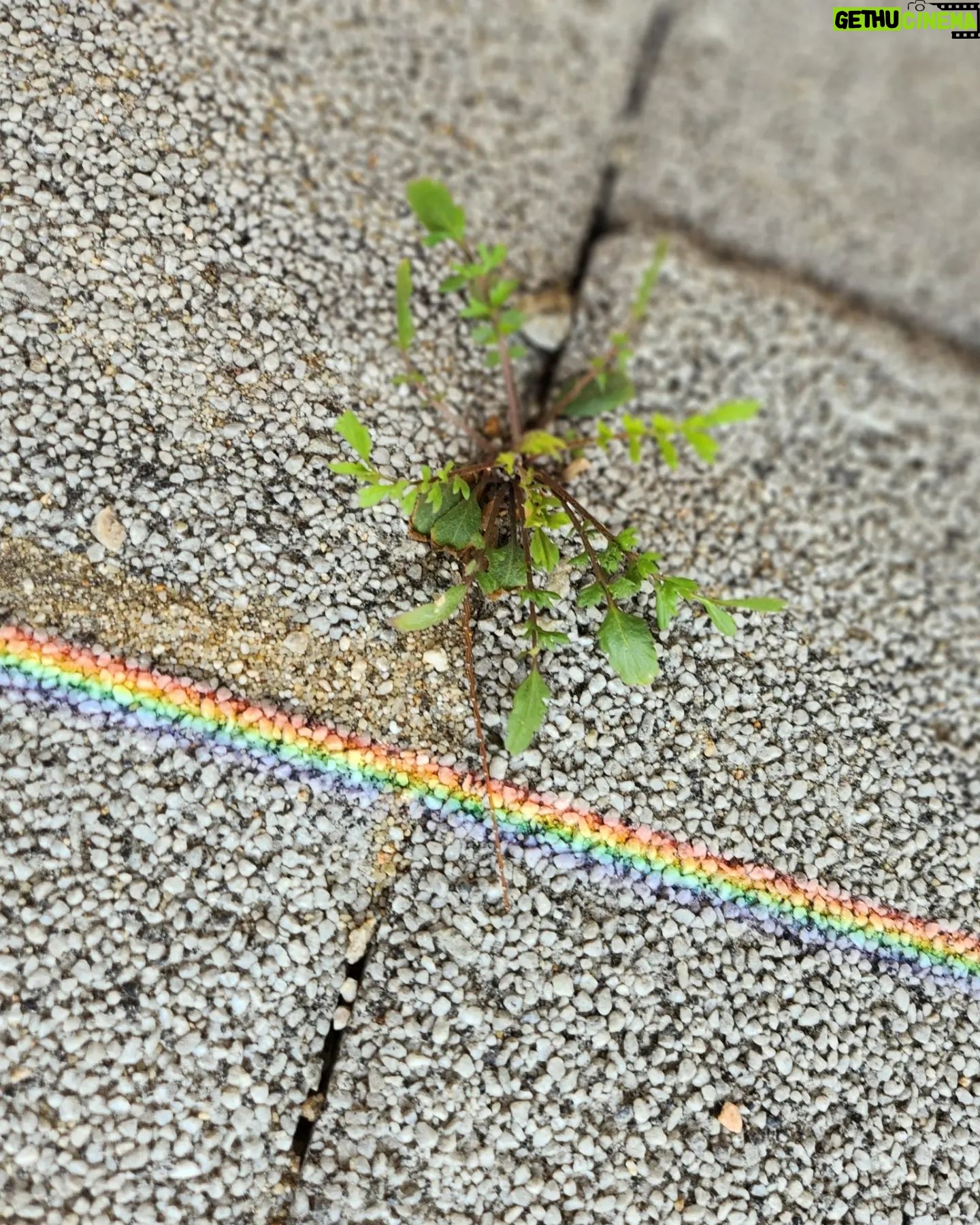 Jung Si-a Instagram - 선물같은 토요일 아침🌈 with 구름이 머무는 동안