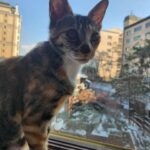 Jung Si-a Instagram – 선물같은 토요일 아침🌈  with 구름이 머무는 동안