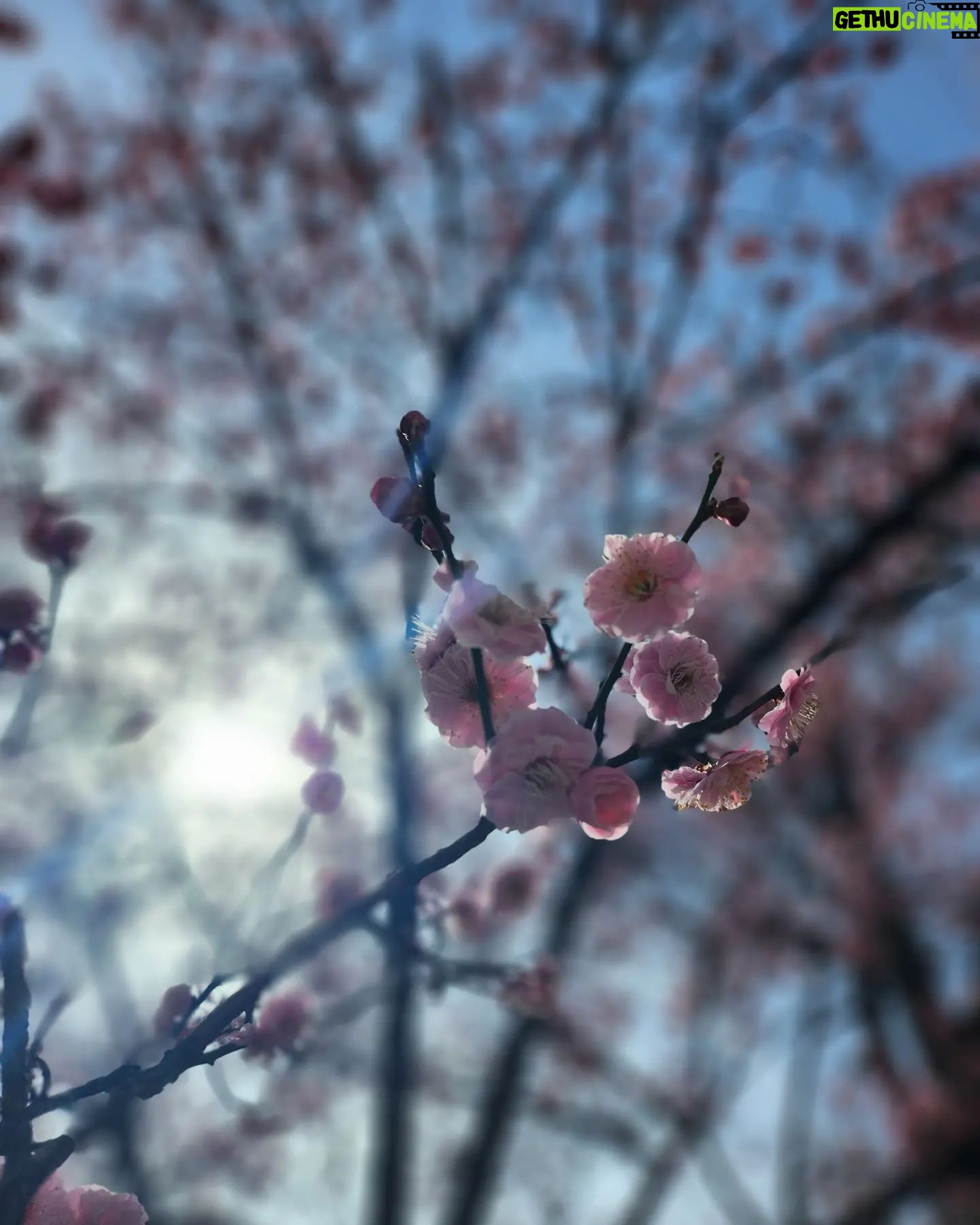 Jung Si-a Instagram - 예쁜 마음의 눈으로 보는 너의 세상 그 안에 내가 살고 있음이 너무 감사해🌸 포토바이 #서우공주_