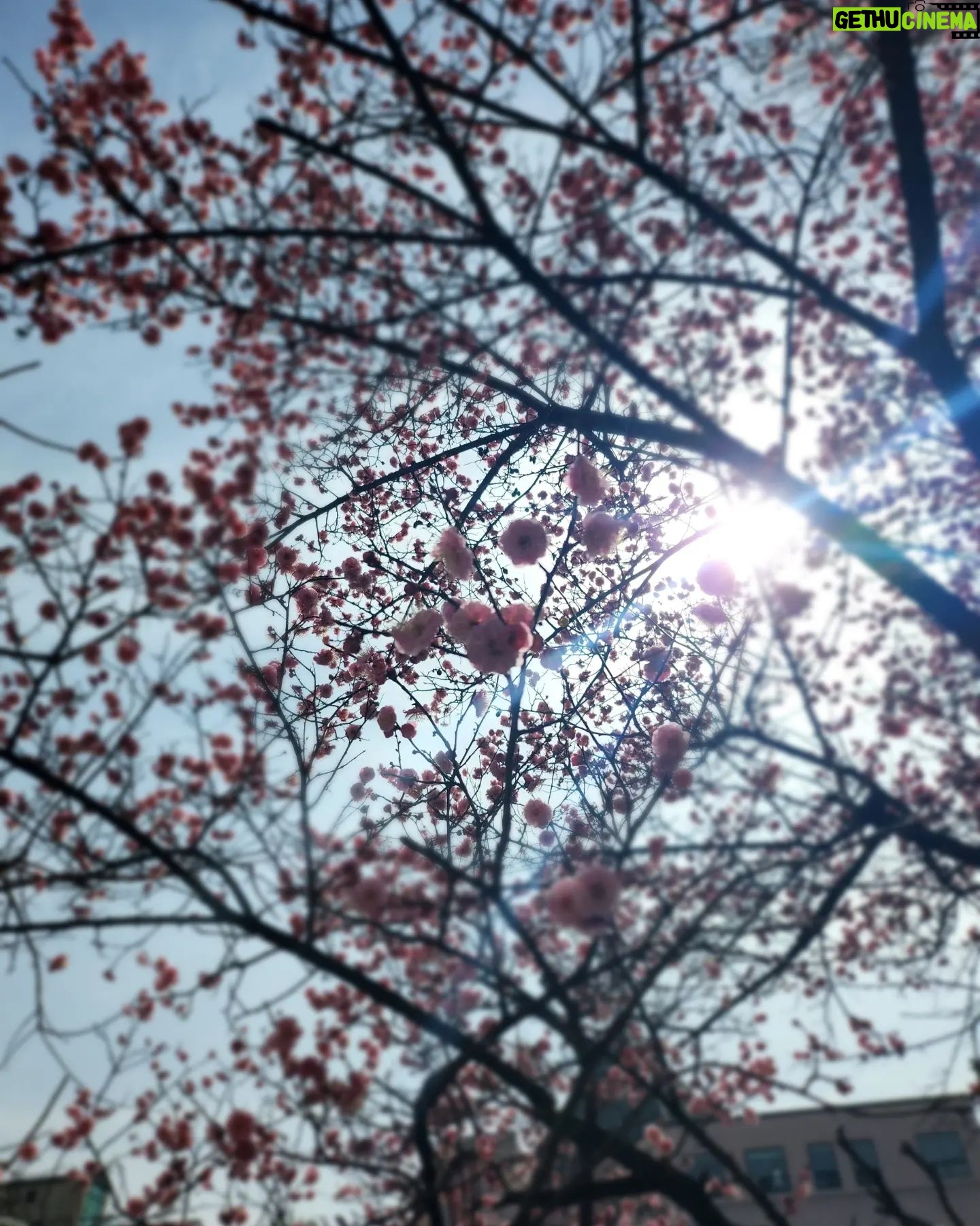 Jung Si-a Instagram - 예쁜 마음의 눈으로 보는 너의 세상 그 안에 내가 살고 있음이 너무 감사해🌸 포토바이 #서우공주_