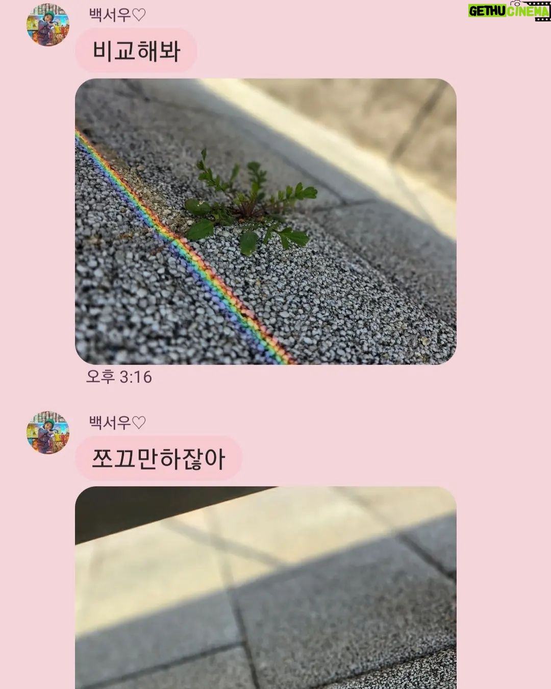 Jung Si-a Instagram - 버스정류장의 초록이가 얼만큼 자랐는지 불편하진 않은지 보살펴주는 #서우공주_ 🌱 예쁜 것들 보면 엄빠에게 나눠주어서 선물같은 하루를 보낼 수 있게 해주고~ 하늘만큼 땅만큼 사랑한다는 나의 말에 우주만큼 사랑한다며 더 큰 사랑을 주는 #쭈누_ 어느새 자라서 나보다 더 사랑해주고 위로해주는 아이들👦👧 너희들의 따뜻한 세상에 함께 살아갈 수 있음이 너무 감사해♥️