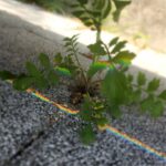 Jung Si-a Instagram - 버스정류장의 초록이가 얼만큼 자랐는지 불편하진 않은지 보살펴주는 #서우공주_ 🌱 예쁜 것들 보면 엄빠에게 나눠주어서 선물같은 하루를 보낼 수 있게 해주고~ 하늘만큼 땅만큼 사랑한다는 나의 말에 우주만큼 사랑한다며 더 큰 사랑을 주는 #쭈누_ 어느새 자라서 나보다 더 사랑해주고 위로해주는 아이들👦👧 너희들의 따뜻한 세상에 함께 살아갈 수 있음이 너무 감사해♥️