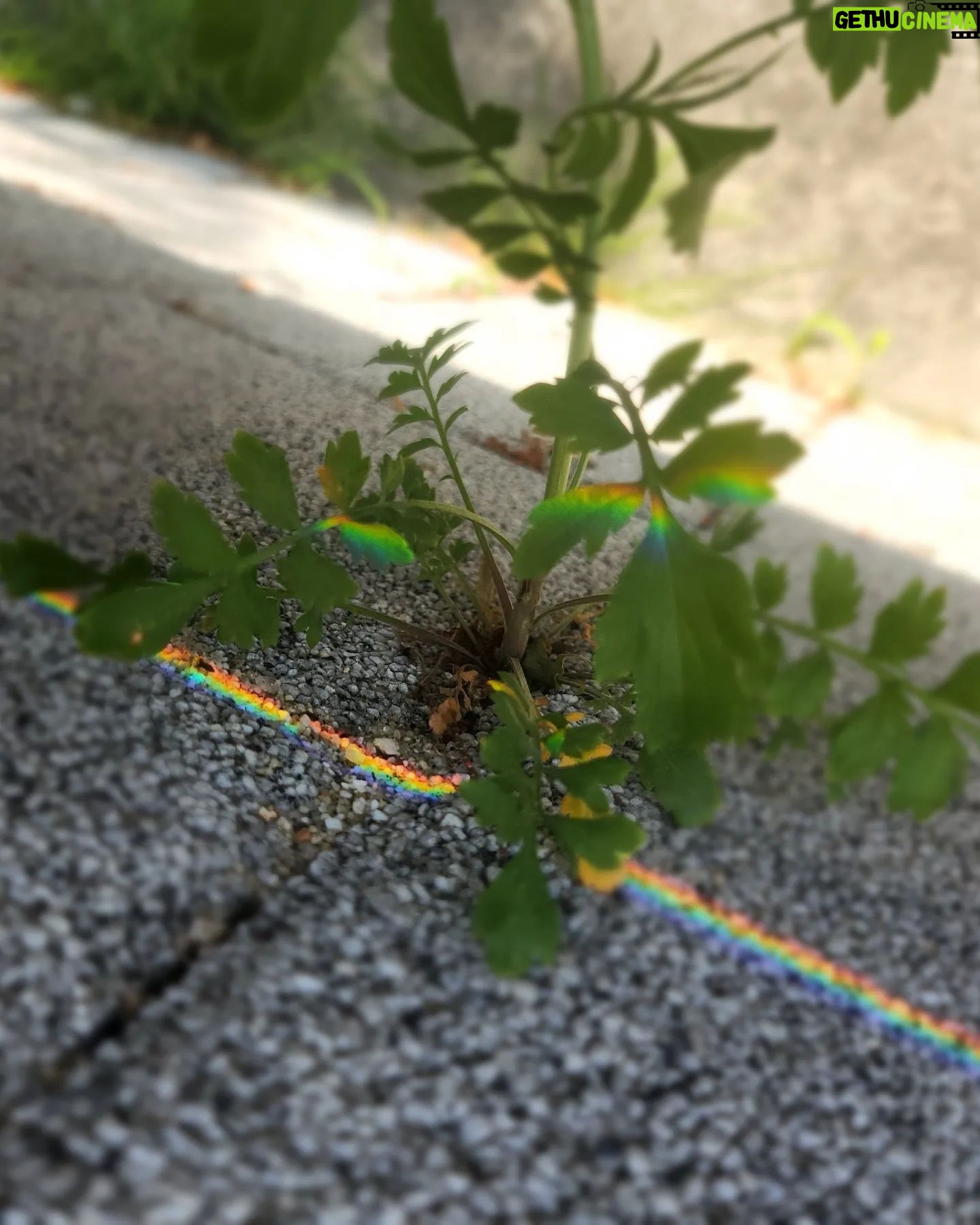 Jung Si-a Instagram - 버스정류장의 초록이가 얼만큼 자랐는지 불편하진 않은지 보살펴주는 #서우공주_ 🌱 예쁜 것들 보면 엄빠에게 나눠주어서 선물같은 하루를 보낼 수 있게 해주고~ 하늘만큼 땅만큼 사랑한다는 나의 말에 우주만큼 사랑한다며 더 큰 사랑을 주는 #쭈누_ 어느새 자라서 나보다 더 사랑해주고 위로해주는 아이들👦👧 너희들의 따뜻한 세상에 함께 살아갈 수 있음이 너무 감사해♥️