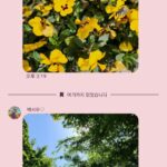 Jung Si-a Instagram - 버스정류장의 초록이가 얼만큼 자랐는지 불편하진 않은지 보살펴주는 #서우공주_ 🌱 예쁜 것들 보면 엄빠에게 나눠주어서 선물같은 하루를 보낼 수 있게 해주고~ 하늘만큼 땅만큼 사랑한다는 나의 말에 우주만큼 사랑한다며 더 큰 사랑을 주는 #쭈누_ 어느새 자라서 나보다 더 사랑해주고 위로해주는 아이들👦👧 너희들의 따뜻한 세상에 함께 살아갈 수 있음이 너무 감사해♥️