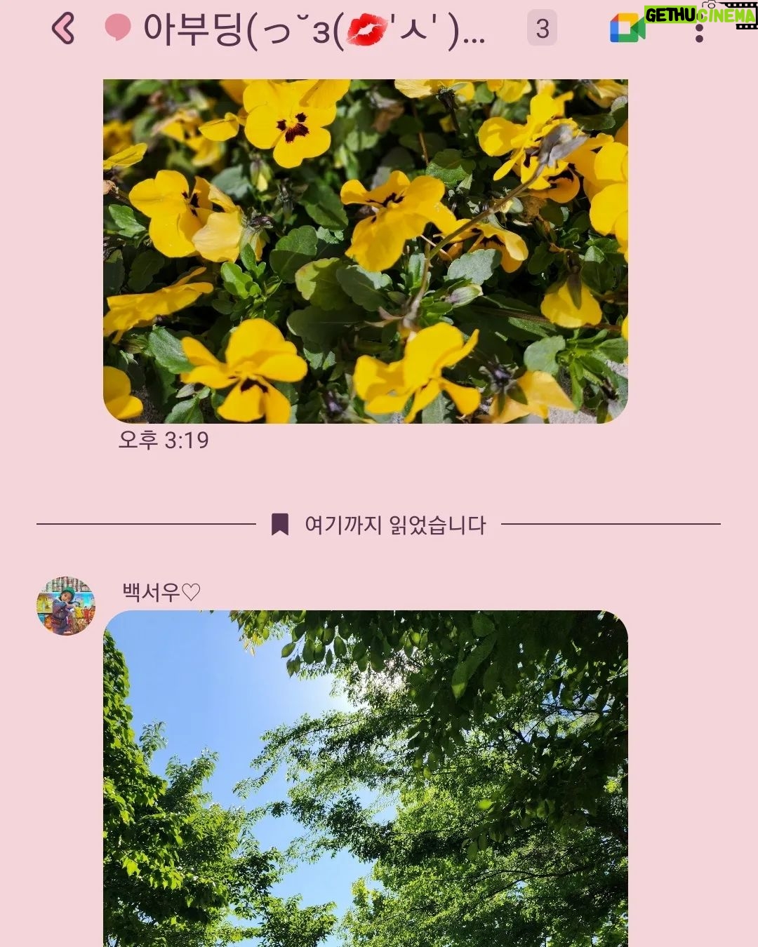 Jung Si-a Instagram - 버스정류장의 초록이가 얼만큼 자랐는지 불편하진 않은지 보살펴주는 #서우공주_ 🌱 예쁜 것들 보면 엄빠에게 나눠주어서 선물같은 하루를 보낼 수 있게 해주고~ 하늘만큼 땅만큼 사랑한다는 나의 말에 우주만큼 사랑한다며 더 큰 사랑을 주는 #쭈누_ 어느새 자라서 나보다 더 사랑해주고 위로해주는 아이들👦👧 너희들의 따뜻한 세상에 함께 살아갈 수 있음이 너무 감사해♥️