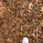 Jung Si-a Instagram - 땅끝마을🌿