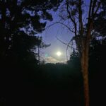 Justina Bustos Instagram - 🌌🎆🎇