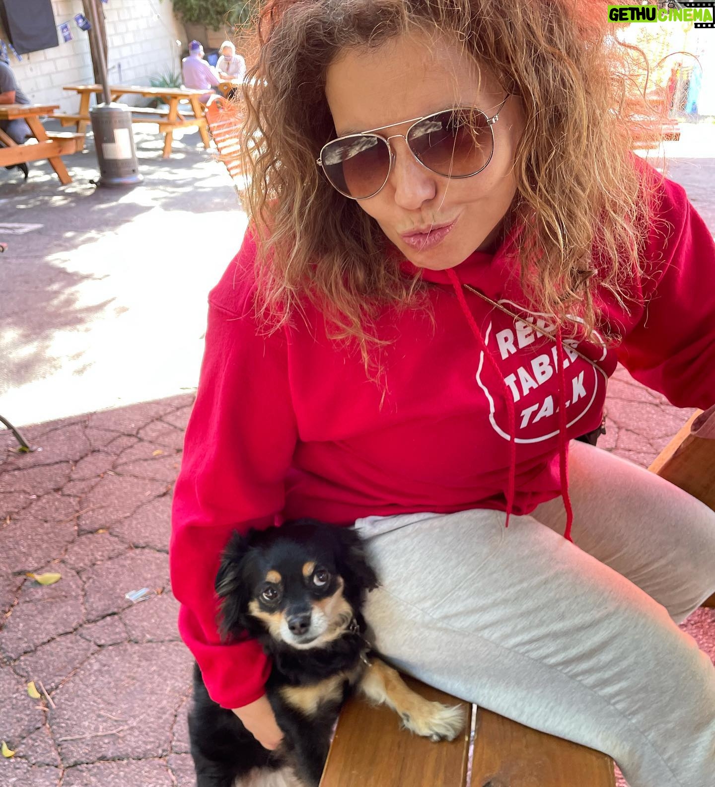 Justina Machado - 17.9K Likes - Hahaha!!! Lola giving me side eye !!! How cute is my girl @clearwaterceron perrita Happy Wednesday mi Gente❤️❤️❤️❤️