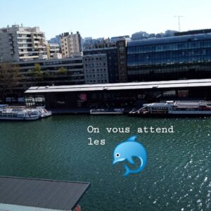 Justine Le Pottier Instagram - 🙋🐬 et aussi 🐳 et 🦈
.
.
.
.
.
.
.
.
.#confinement #paris #bassindelavillette #dolphins ##dauphins #baleine #whale