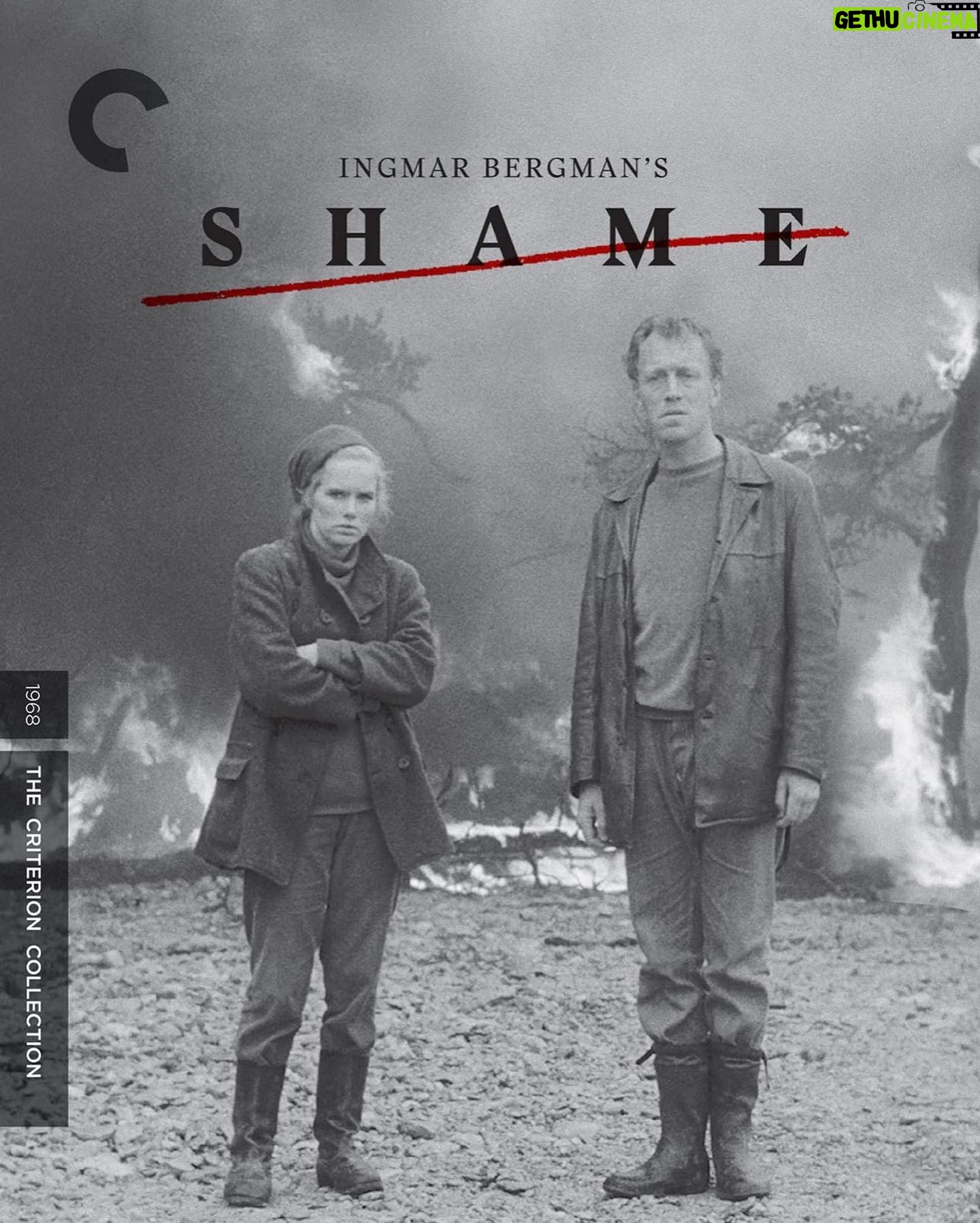 Justine Bateman Instagram - Next in #FilmClub is Ingmar Bergman’s SHAME (1968). Watch beforehand and come discuss Monday 1/22, 4pPT in @Clubhouse. Link in bio.