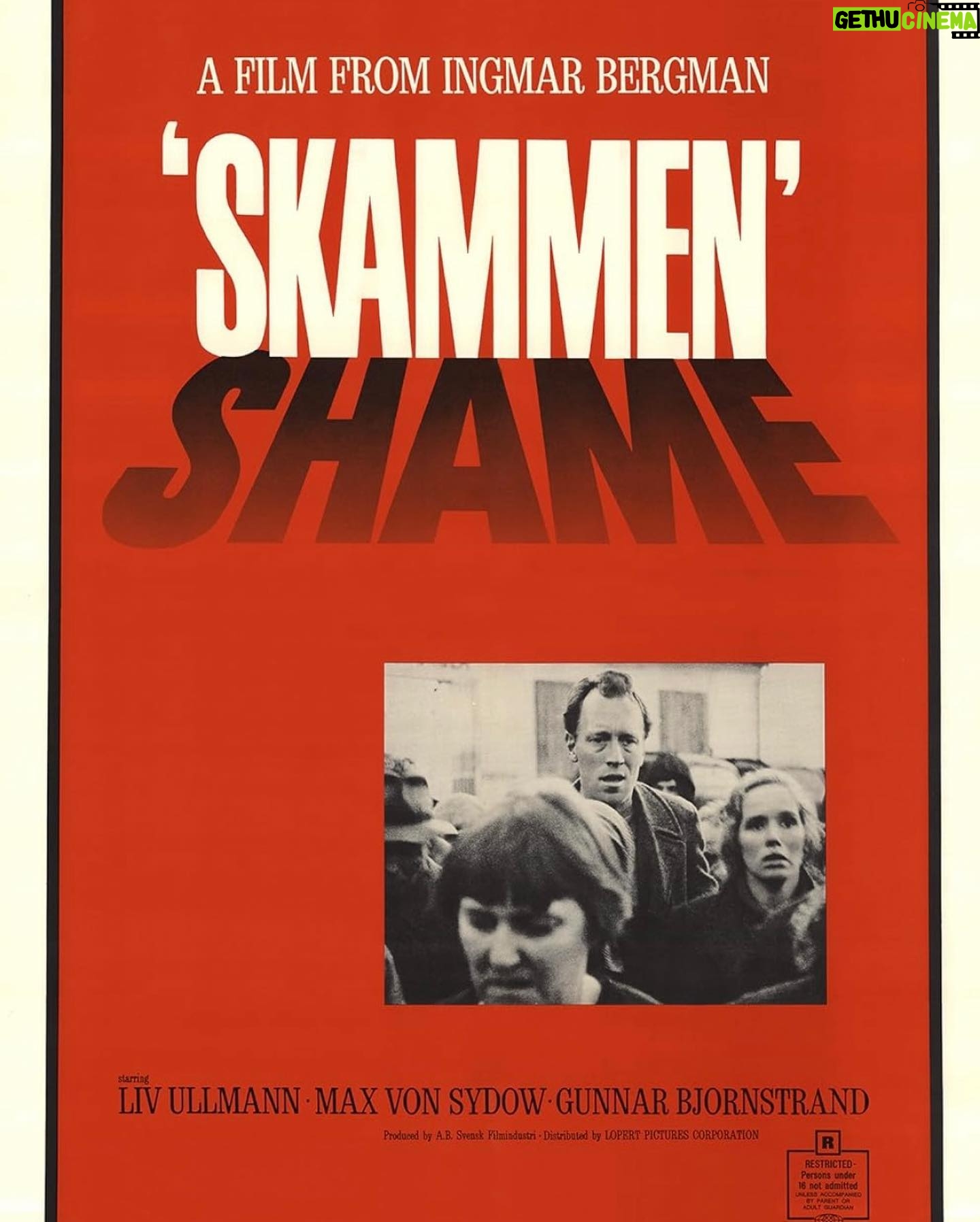 Justine Bateman Instagram - Next in #FilmClub is Ingmar Bergman’s SHAME (1968). Watch beforehand and come discuss Monday 1/22, 4pPT in @Clubhouse. Link in bio.