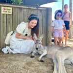 Kabby Hui Instagram - 🐨why so cuteeeeee