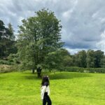 Kabby Hui Instagram - it cames nature. 🌲