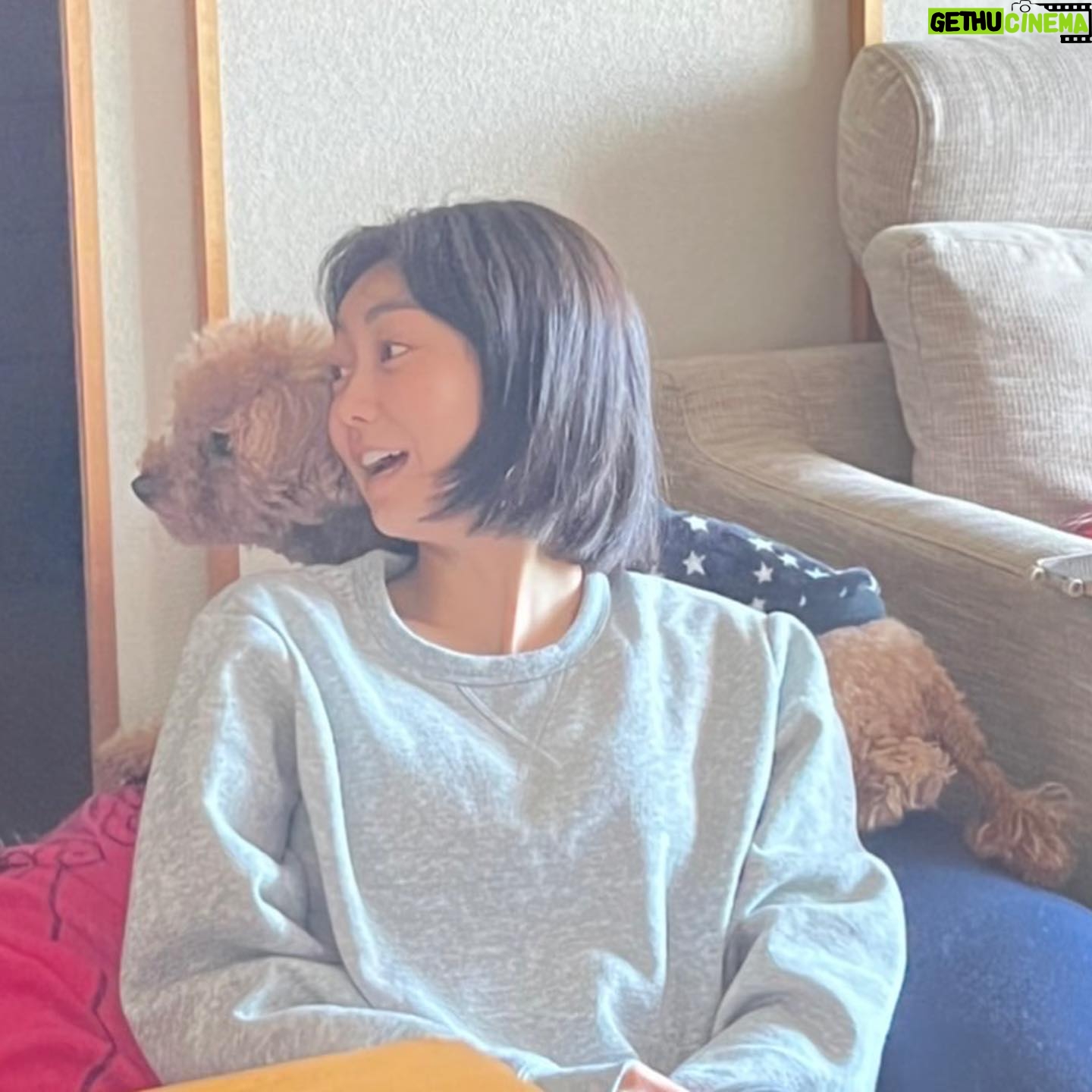 Kaho Takada Instagram - たかだは今、Tバックキャンペーンをしています。よりつるつるを手に入れる為にモノは試し。摩擦を無くそうキャンペーン中。いっそノーパンでもよいのか。次はノーパンキャンペーンします。食い込みスリル気に入ってます。ぷりっ