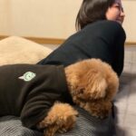 Kaho Takada Instagram - たかだは今､Tバックキャンペーンをしています。よりつるつるを手に入れる為にモノは試し。摩擦を無くそうキャンペーン中。いっそノーパンでもよいのか。次はノーパンキャンペーンします。食い込みスリル気に入ってます。ぷりっ