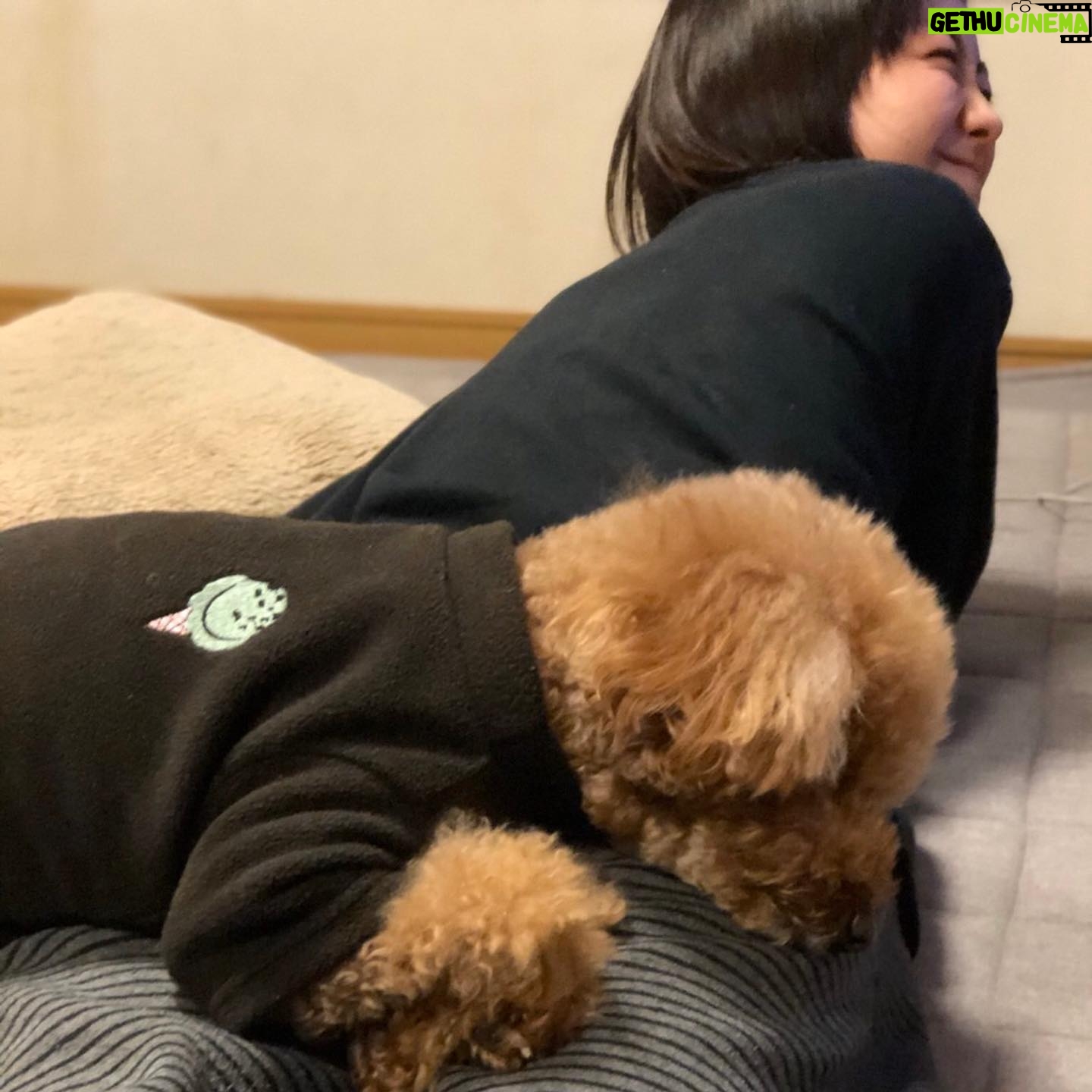 Kaho Takada Instagram - たかだは今、Tバックキャンペーンをしています。よりつるつるを手に入れる為にモノは試し。摩擦を無くそうキャンペーン中。いっそノーパンでもよいのか。次はノーパンキャンペーンします。食い込みスリル気に入ってます。ぷりっ