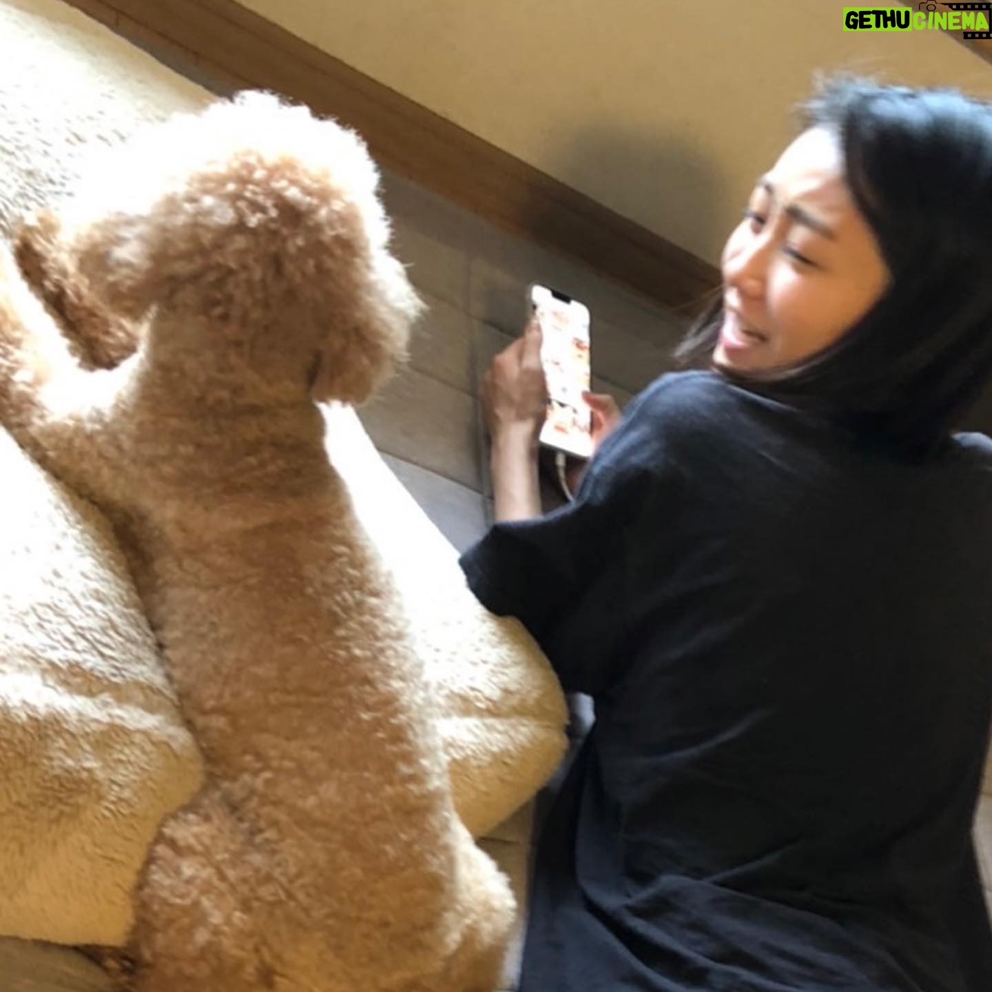 Kaho Takada Instagram - たかだは今、Tバックキャンペーンをしています。よりつるつるを手に入れる為にモノは試し。摩擦を無くそうキャンペーン中。いっそノーパンでもよいのか。次はノーパンキャンペーンします。食い込みスリル気に入ってます。ぷりっ