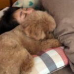 Kaho Takada Instagram - たかだは今､Tバックキャンペーンをしています。よりつるつるを手に入れる為にモノは試し。摩擦を無くそうキャンペーン中。いっそノーパンでもよいのか。次はノーパンキャンペーンします。食い込みスリル気に入ってます。ぷりっ