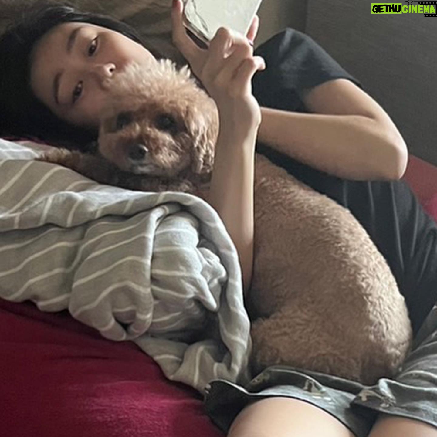 Kaho Takada Instagram - たかだは今、Tバックキャンペーンをしています。よりつるつるを手に入れる為にモノは試し。摩擦を無くそうキャンペーン中。いっそノーパンでもよいのか。次はノーパンキャンペーンします。食い込みスリル気に入ってます。ぷりっ