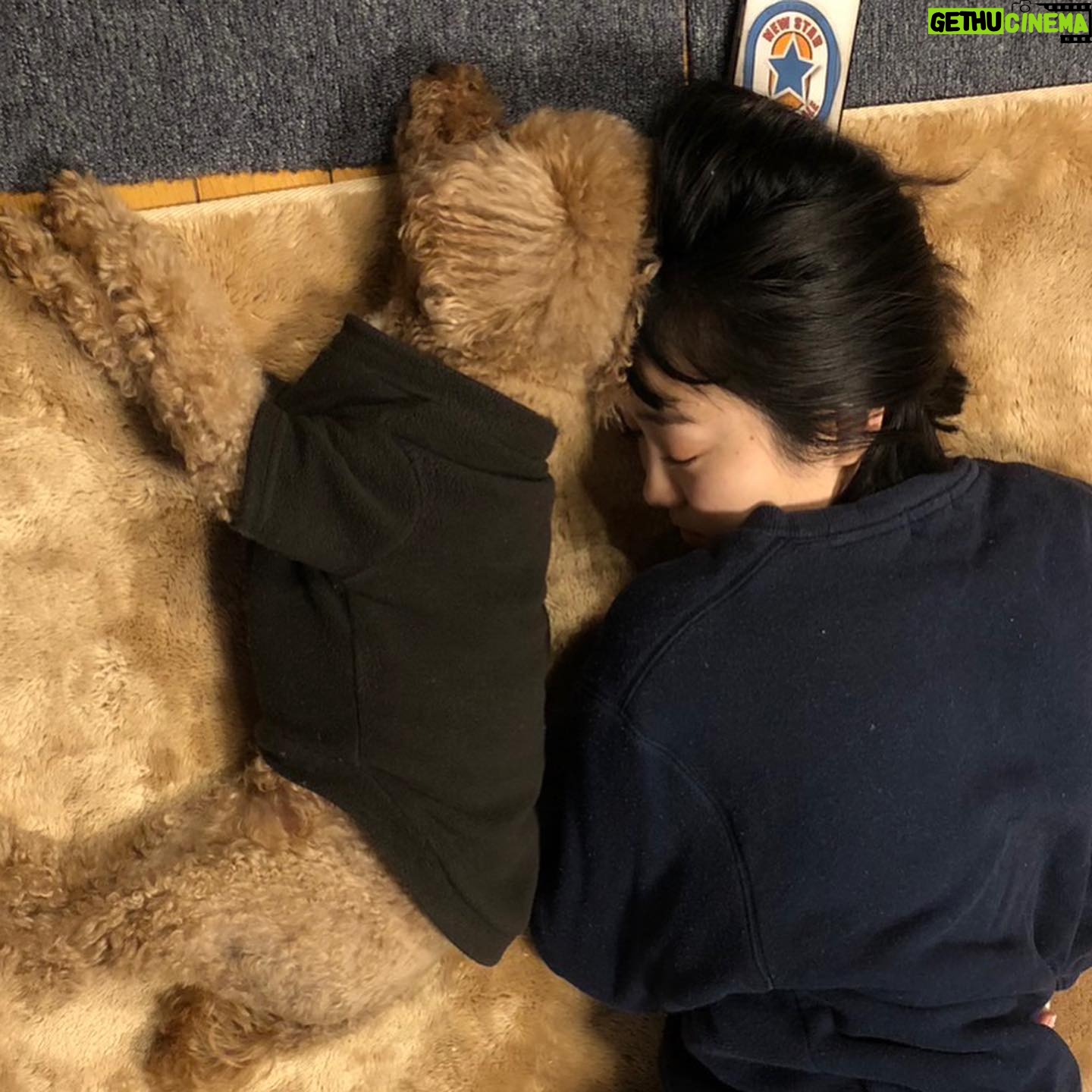 Kaho Takada Instagram - たかだは今、Tバックキャンペーンをしています。よりつるつるを手に入れる為にモノは試し。摩擦を無くそうキャンペーン中。いっそノーパンでもよいのか。次はノーパンキャンペーンします。食い込みスリル気に入ってます。ぷりっ