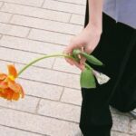 Kaho Takada Instagram - 初夏の空気🍃 散歩にちょうどよい気温、夜でもお昼でも🌱