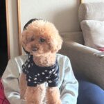 Kaho Takada Instagram - たかだは今､Tバックキャンペーンをしています。よりつるつるを手に入れる為にモノは試し。摩擦を無くそうキャンペーン中。いっそノーパンでもよいのか。次はノーパンキャンペーンします。食い込みスリル気に入ってます。ぷりっ