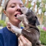 Kaitlin Doubleday Instagram - Puppies make everything better. They’re perfect. Squishy, loving, funny, silly, goofy, cuddly, soft and delicious. Honestly, it’s difficult to be around these puppies…it’s hard not to squish them…to death. Their cuteness evokes a strange violence in me. They’re too cute to be alive!!! Ok, now that we know I’m a psychopath, back to the post. Everyone deserves to love a puppy and be loved by one. The world would be a much better place if puppies like these were treated with the love they so freely give. Adopt adopt adopt!!!