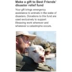 Kaitlin Doubleday Instagram - For those of you with a soft spot for all the animals that are tied up and stranded in hurricane Harvey, consider making a donation here (link in bio). I personally stayed with the founders of this organization and see how they live, with the utmost integrity and transparency on where each dollar is spent. They were the first and last rescue in Katrina, saving thousands, and I know they will do the same in Houston.