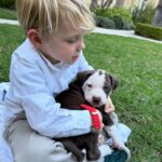 Kaitlin Doubleday Instagram - Puppies make everything better. They’re perfect. Squishy, loving, funny, silly, goofy, cuddly, soft and delicious. Honestly, it’s difficult to be around these puppies…it’s hard not to squish them…to death. Their cuteness evokes a strange violence in me. They’re too cute to be alive!!! Ok, now that we know I’m a psychopath, back to the post. Everyone deserves to love a puppy and be loved by one. The world would be a much better place if puppies like these were treated with the love they so freely give. Adopt adopt adopt!!!