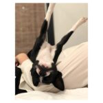 Kaitlin Doubleday Instagram - 🐼