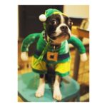Kaitlin Doubleday Instagram - 🎄